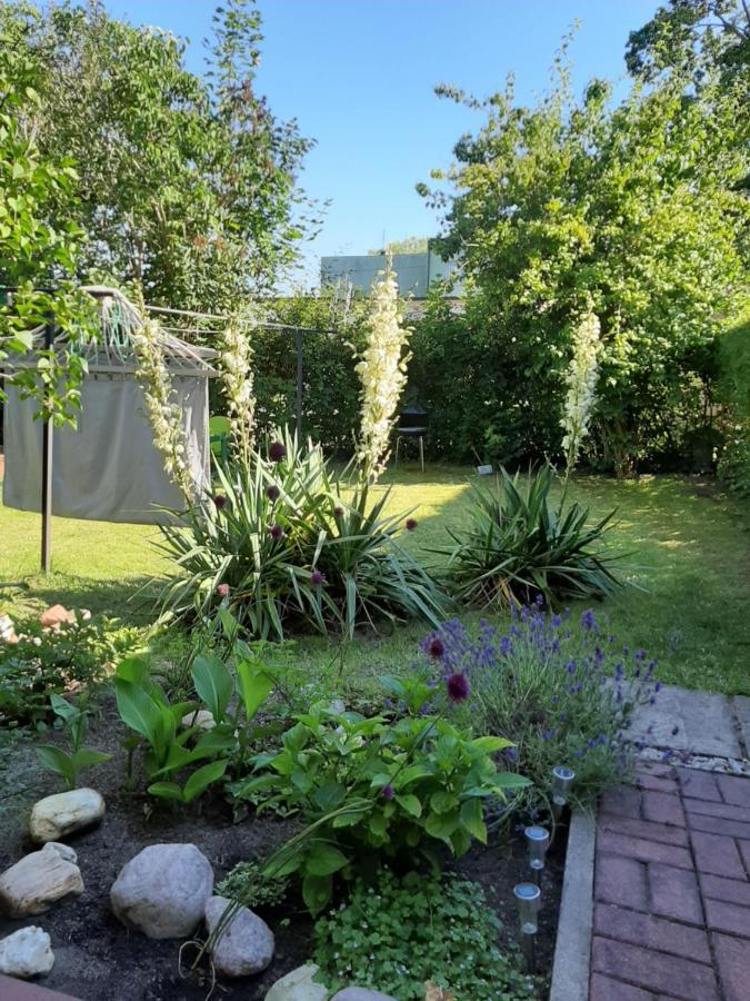 Apartament - 3 Pokojowe Dwupoziomowe Mieszkanie Z Ogrodem Krokowa Εξωτερικό φωτογραφία